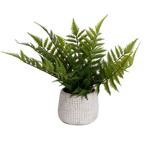 Artificial Parathelypteris Fern Potted Plant