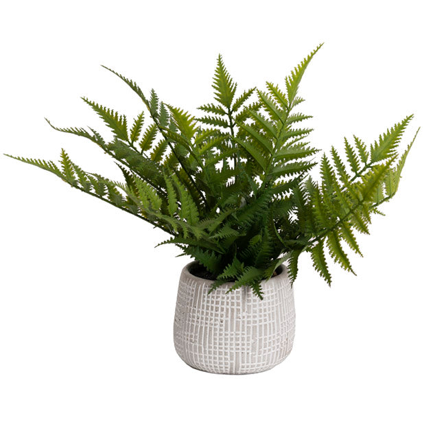 Artificial Parathelypteris Fern Potted Plant